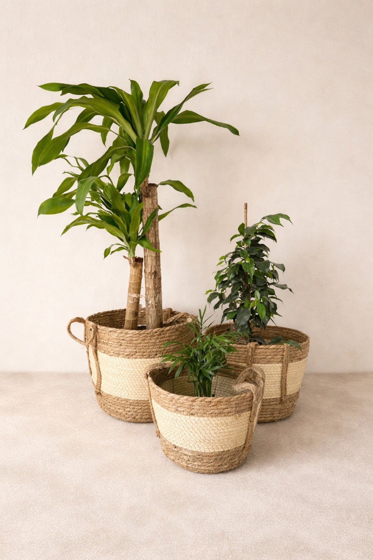 Dekoratif Çok Amaçlı 3lü Hasır Sepet/saksılık/düzenleyici Bej
