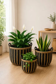 3'Lü Oval Tasarım Hasır Kulplu Sağlam Sepet/Saksılık/Düzenleyici Bohem Set