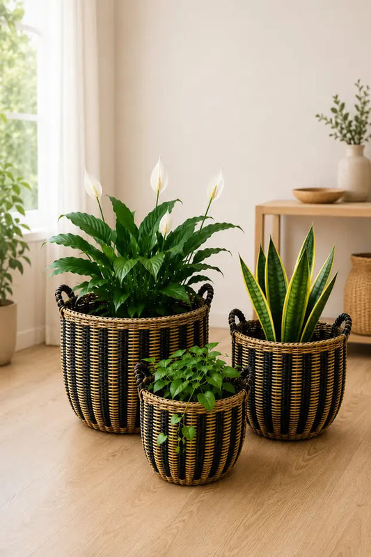 3'Lü Oval Tasarım Hasır Kulplu Sağlam Sepet/Saksılık/Düzenleyici Bohem Set