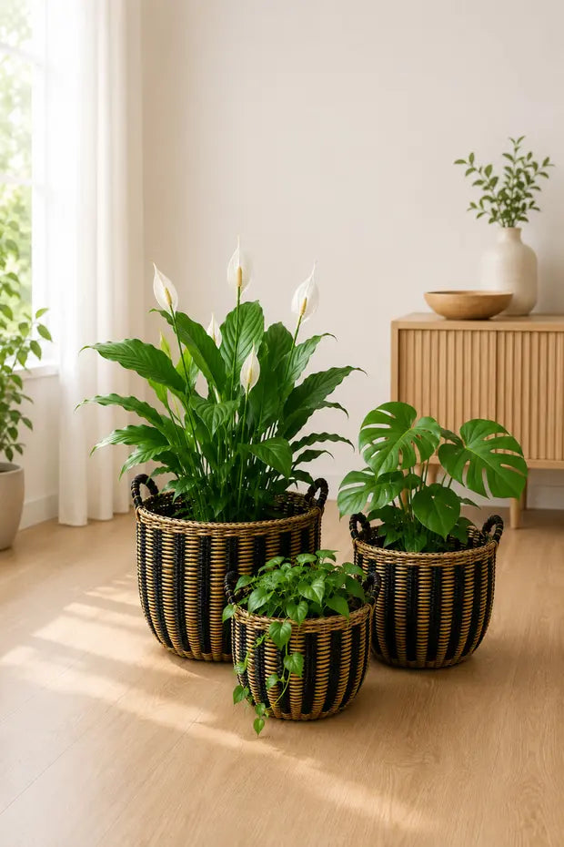 3'Lü Oval Tasarım Hasır Kulplu Sağlam Sepet/Saksılık/Düzenleyici Bohem Set